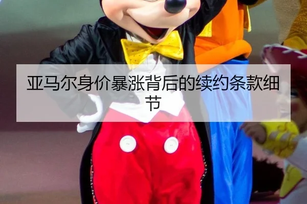 ya-ma-er-shen-jia-bao-zhang-bei-hou-de-xu-yue-tiao-kuan-xi-jie-3-887.jpg
